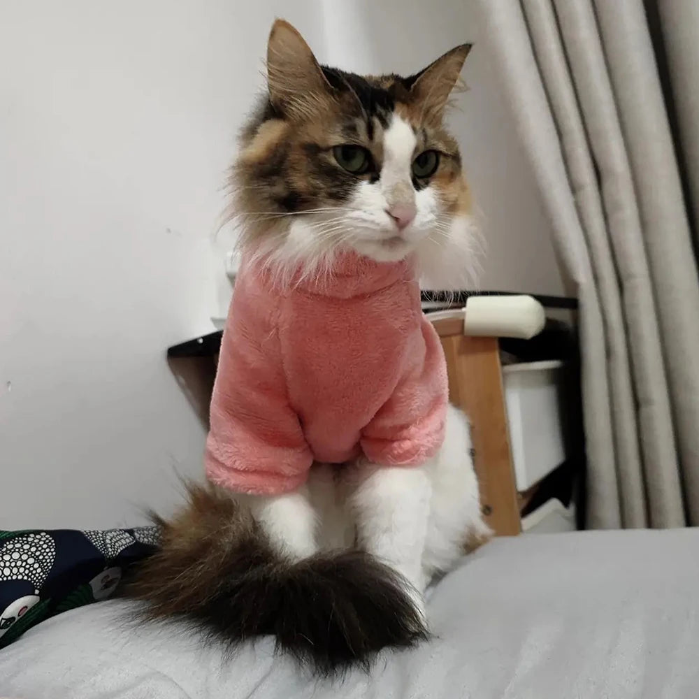 Fleece High Neck Cat Hoodie