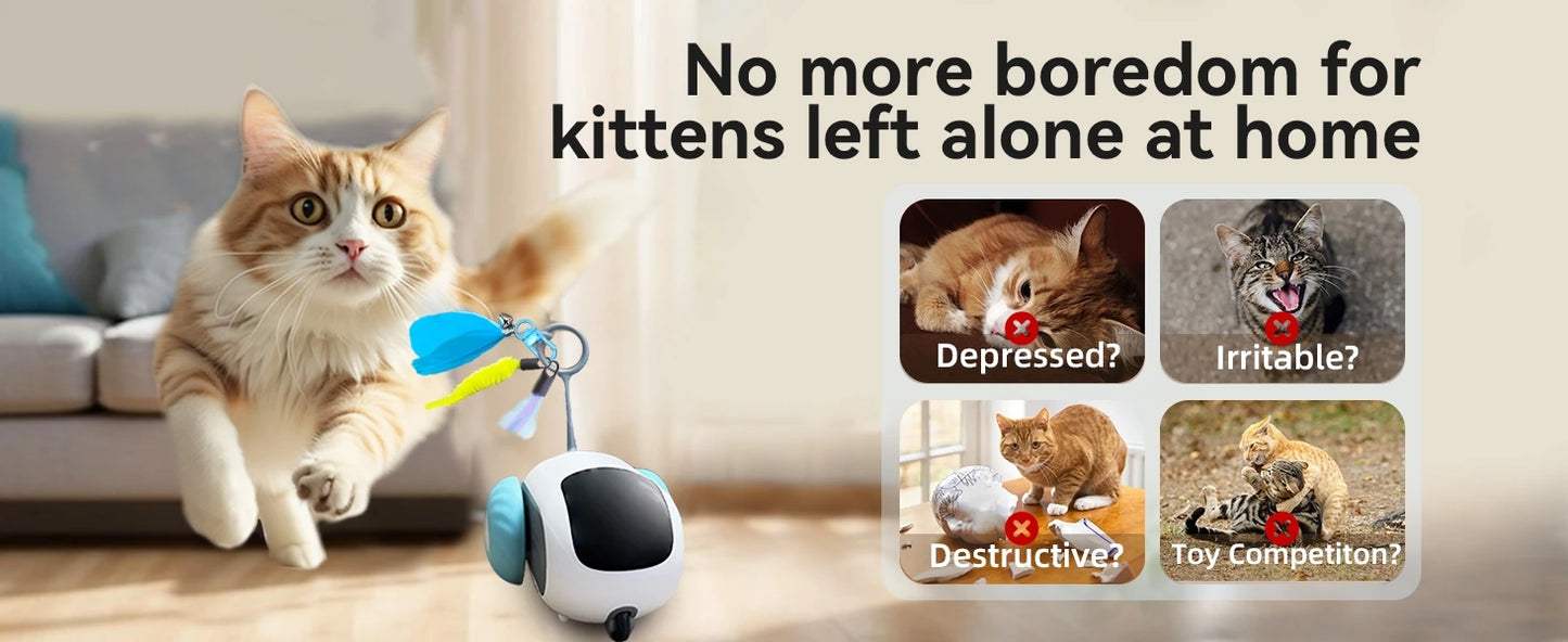 Remote Control Interactive Cat Toy
