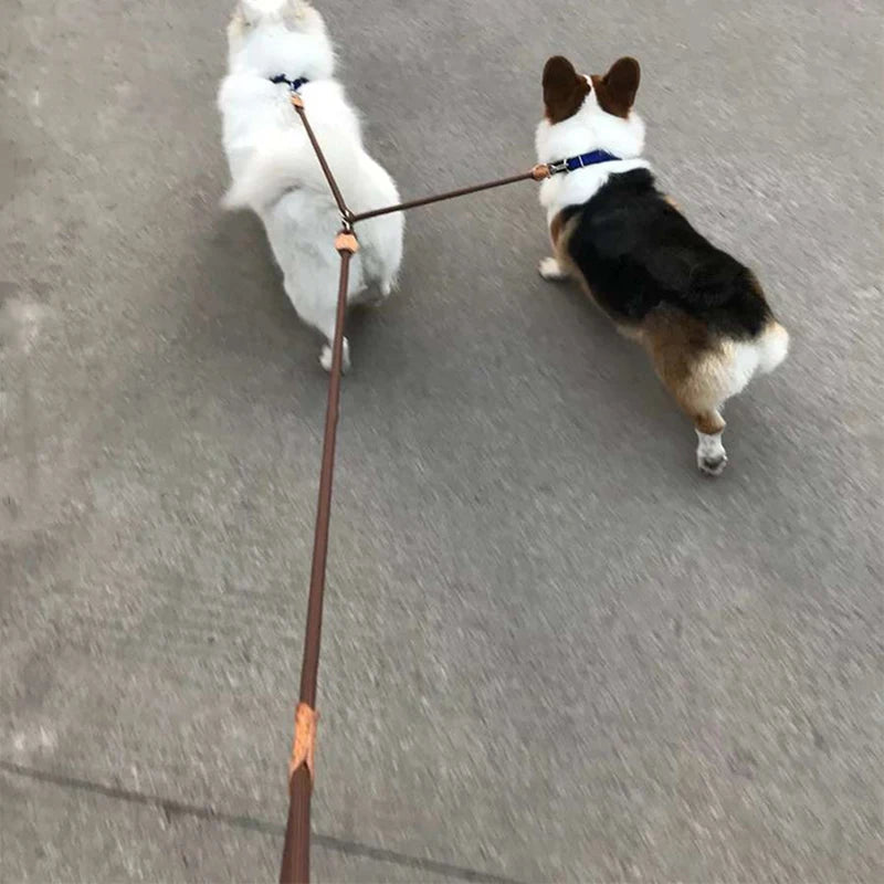 Double laisse en Y pour chien (120 cm)