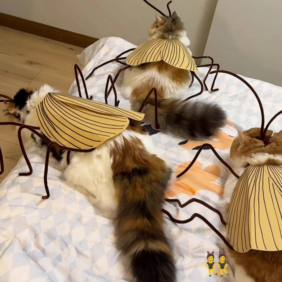 Pet Halloween Hair Accessories DIY Kit