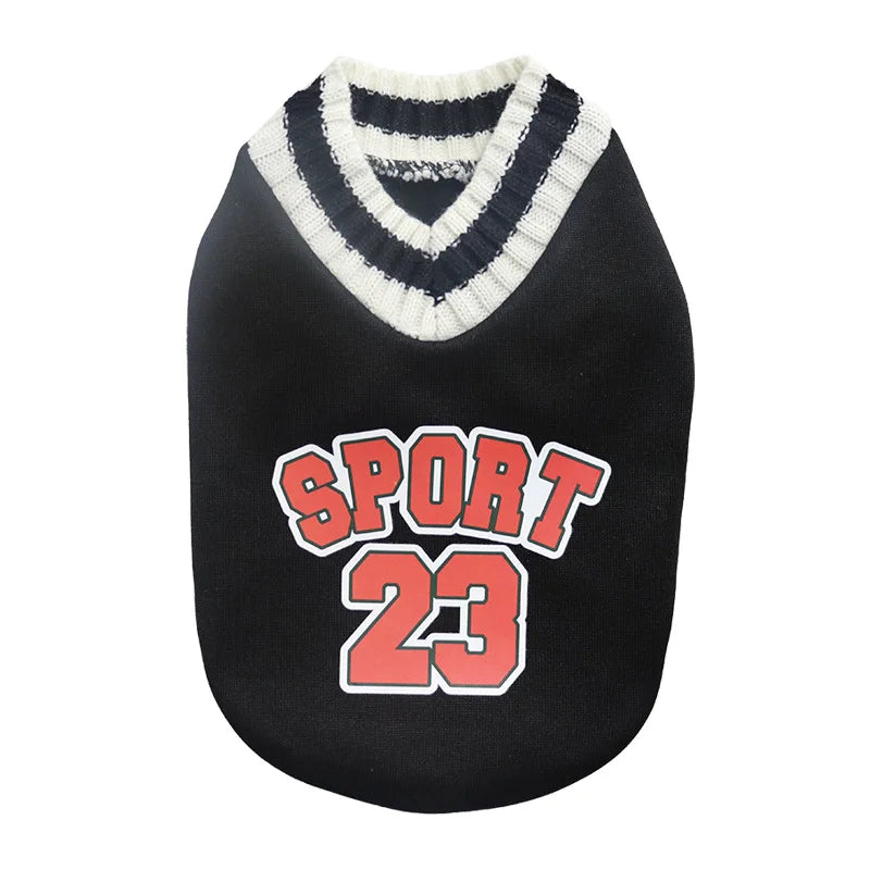 Pull pour chien style universitaire
