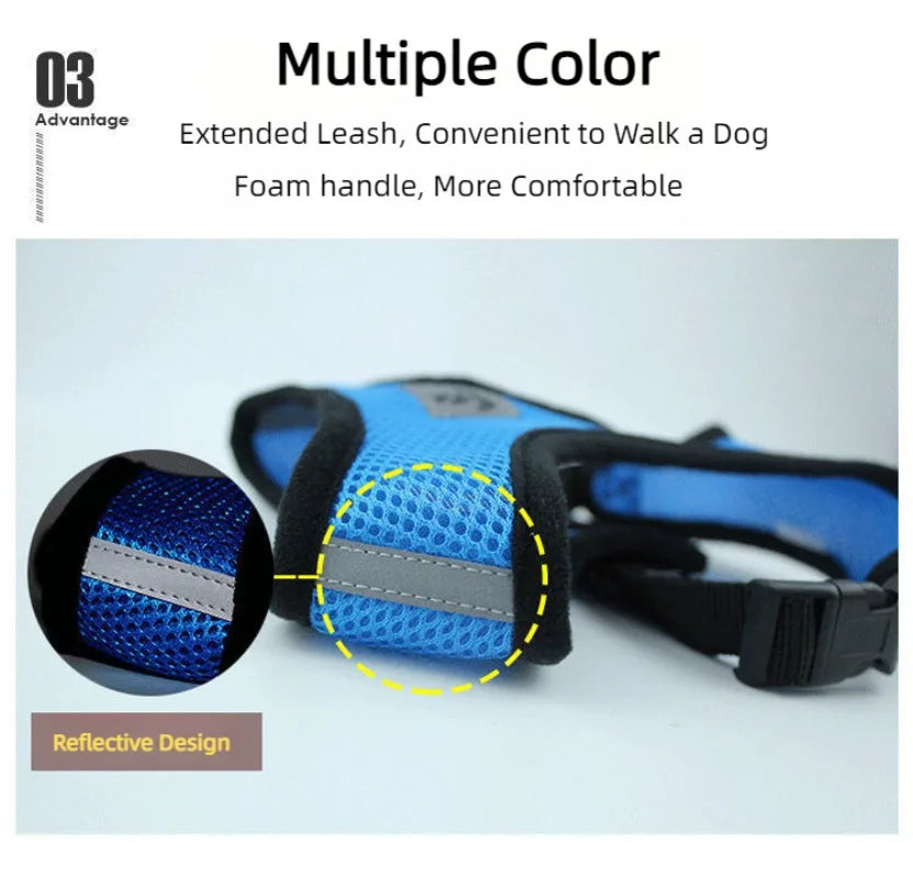 Harnais anti-évasion pour chat et chien avec laisse - Gilet en maille réglable pour la promenade
