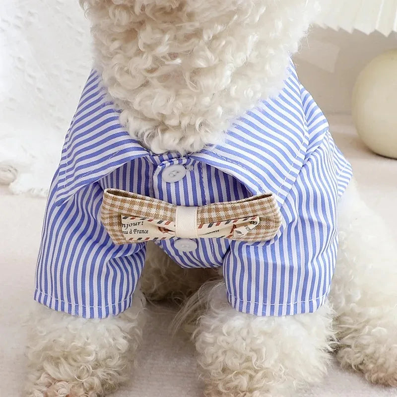 Vêtements d'été pour chiots - Chemise et chemisier pour chien, vêtements de printemps pour animaux de compagnie