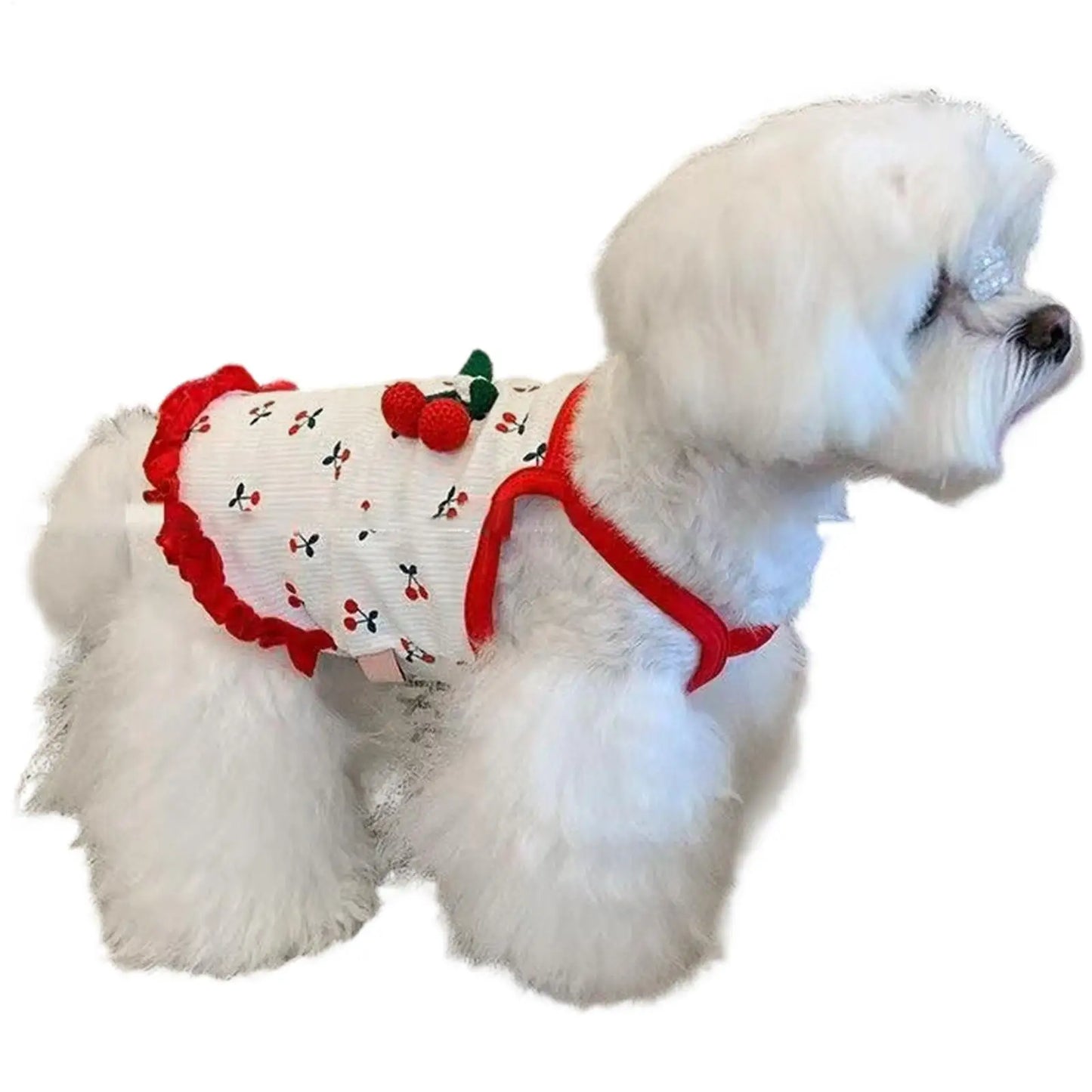 Breathable Summer Vest for Small Dogs & Cats