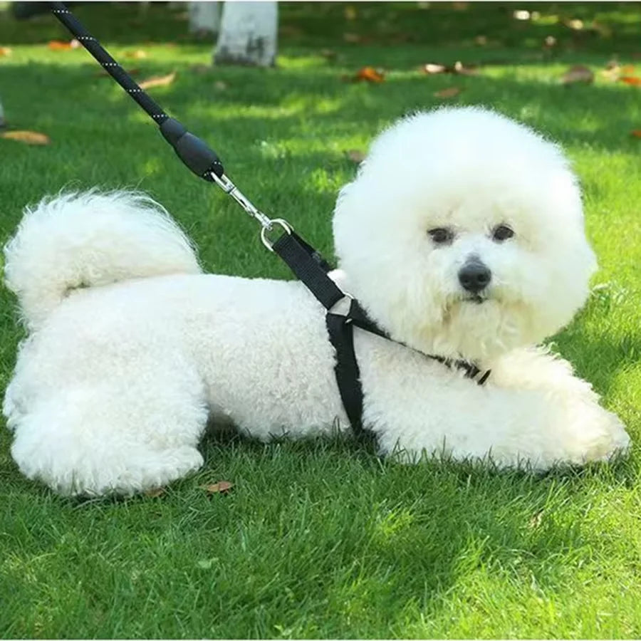 Adjustable Dog Chest Harness – Vest Style Walk Harness