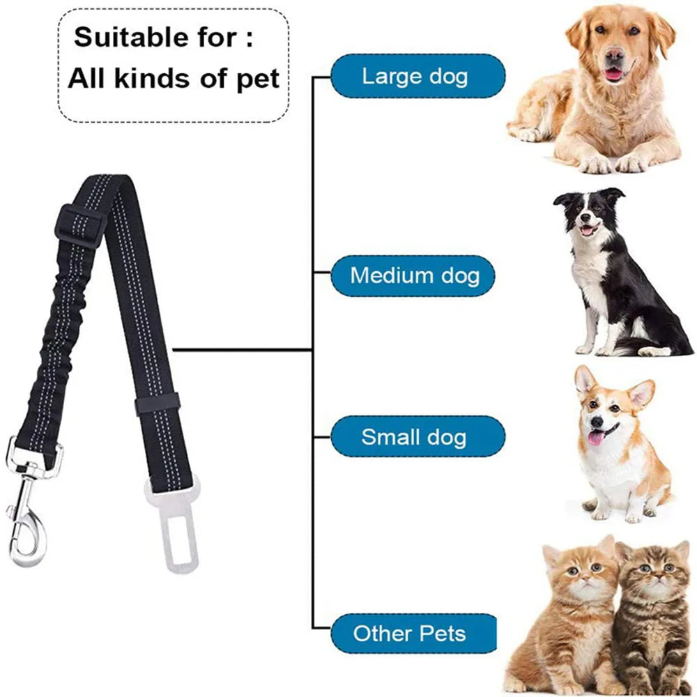 Ceinture de sécurité rétractable pour chien avec bande réfléchissante