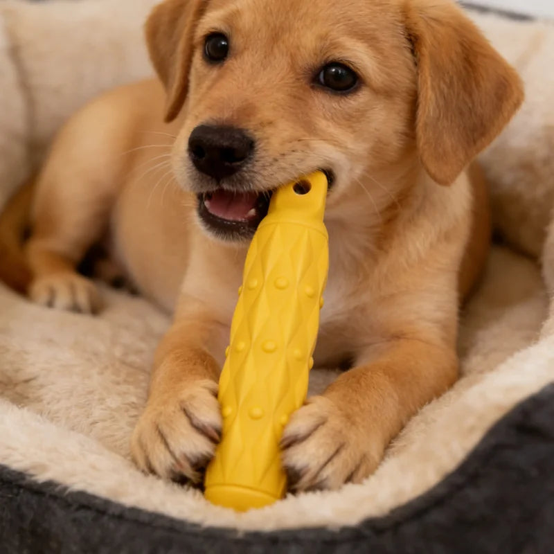 EVA Rubber Biting Stick Chew Toy for Dogs – Tough Teeth Grinding Toy for Small, Medium & Large Breeds