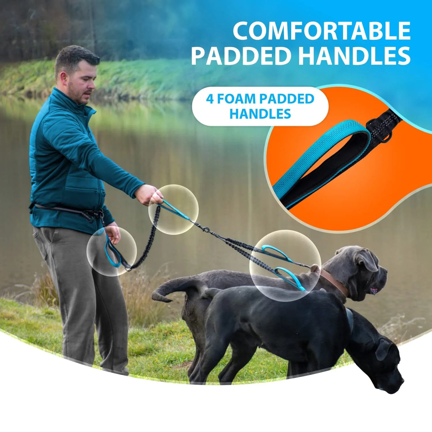 Double Dog Leash with Elastic Shock Absorber