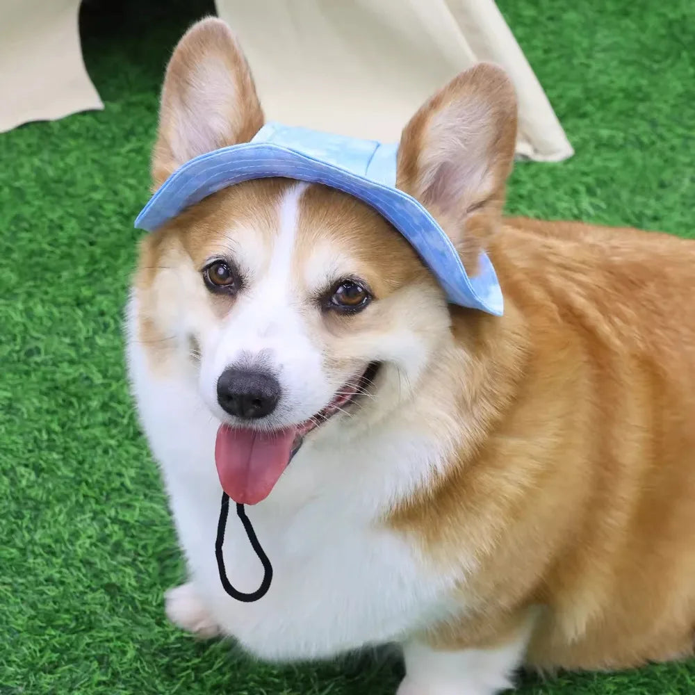 Chapeau de soleil pour animaux de compagnie avec trous pour les oreilles - Protection extérieure pour chiens et chats
