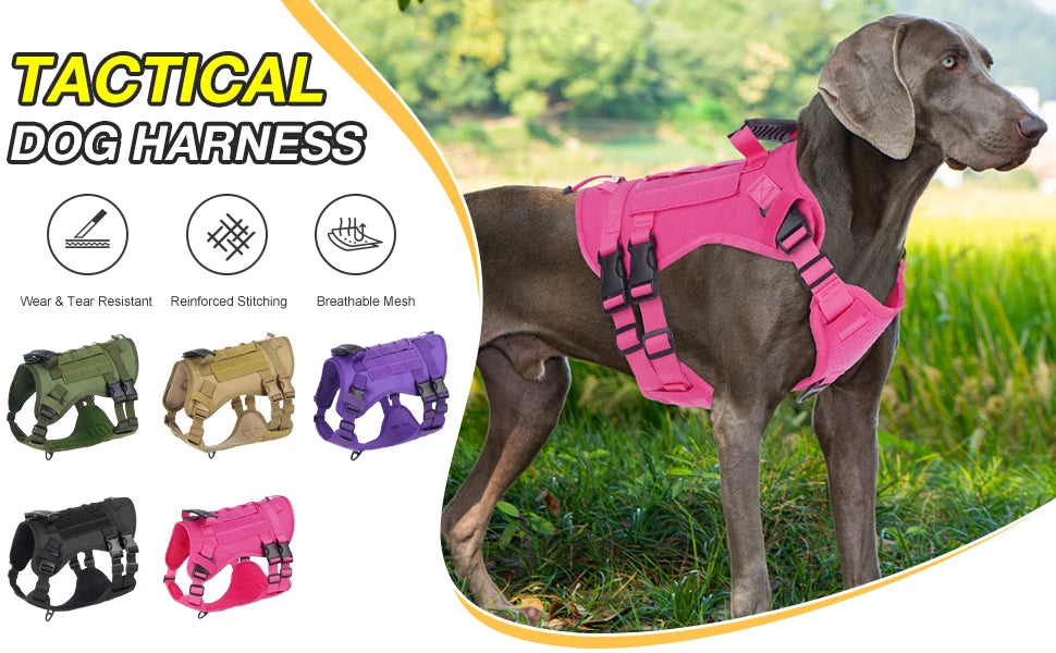Harnais Tactique pour Chien avec Sangle de Poitrine et Boucle de Renfort