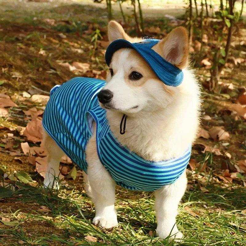 Washed Denim Dog Sun Hat