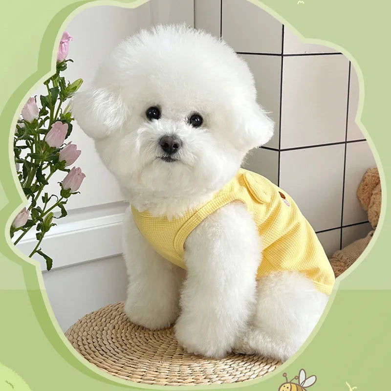 Breathable Summer Vest for Small Dogs & Cats