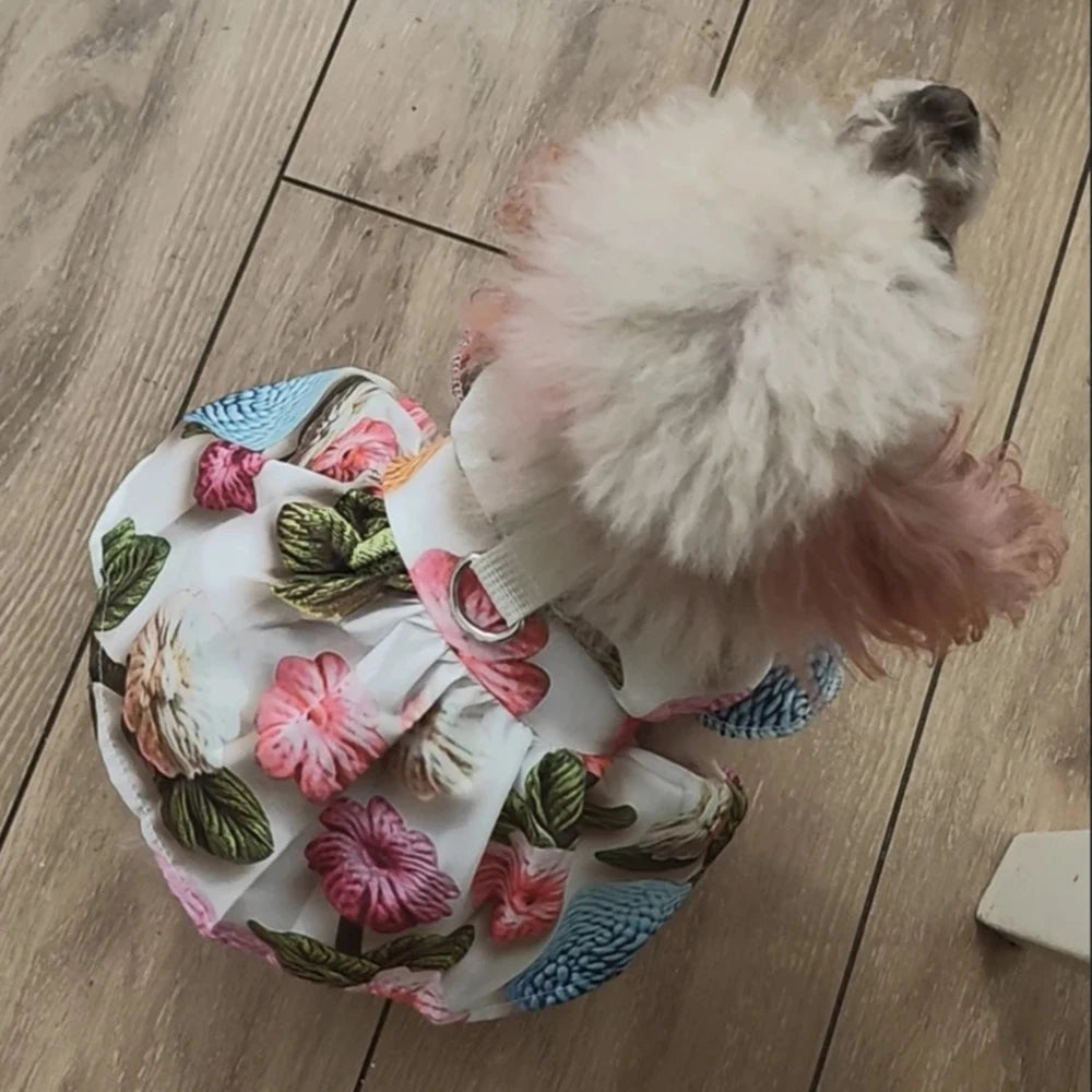 Lace Collar Dress for Cats & Small Dogs