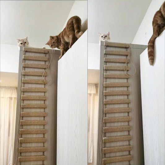 Wooden Cat Climbing Ladder & Bridge
