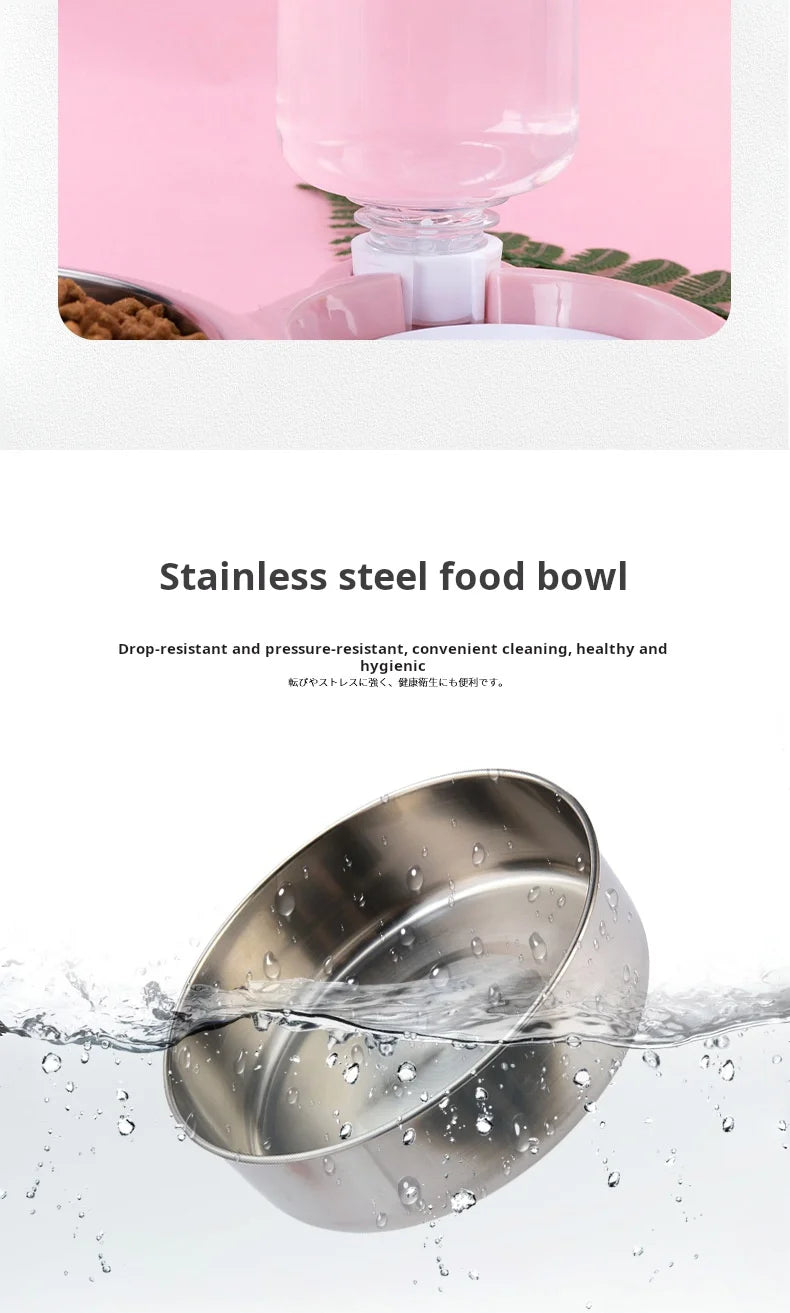 Set de gamelles doubles pour chat, distributeur d'eau automatique pour animaux de compagnie pour les garder hydratés et nourris