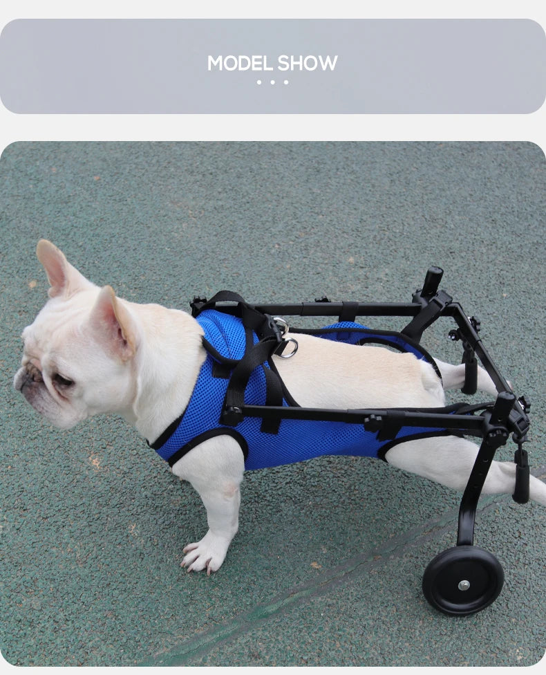 Dog Rehabilitation & Mobility Support Harness – Chest & Back Lifting Aid for Disabled & Recovering Dogs
