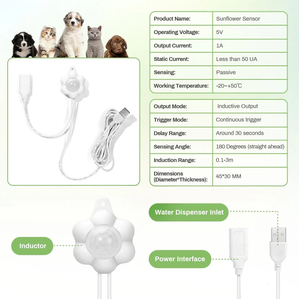 Motion Sensor Pet Water Fountain with Infrared Detector & Filter | USB Powered