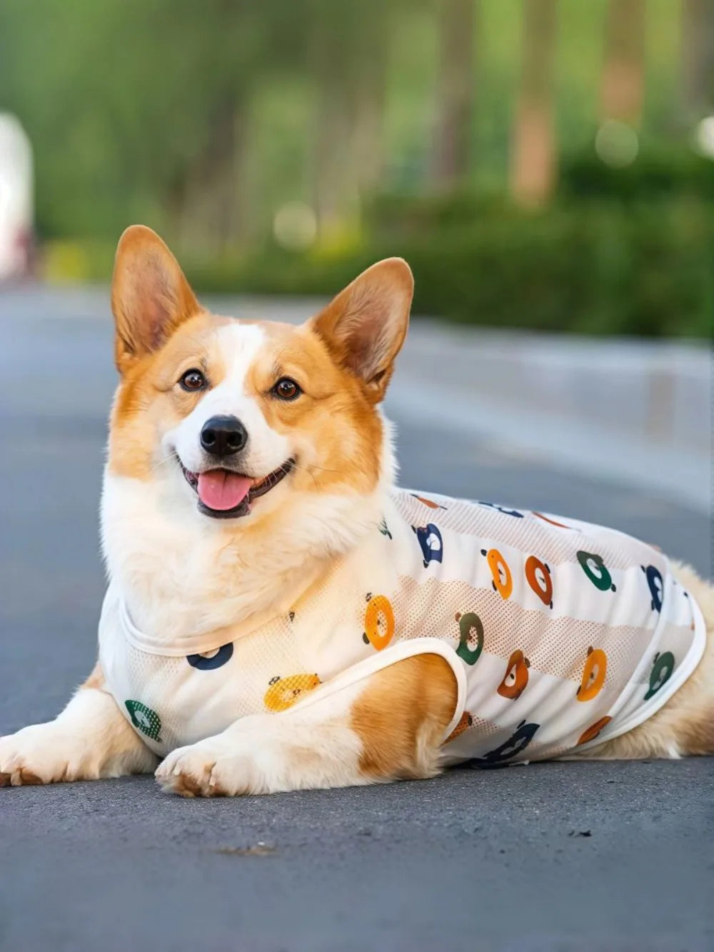 Breathable Mesh Cooling Vest for Dogs