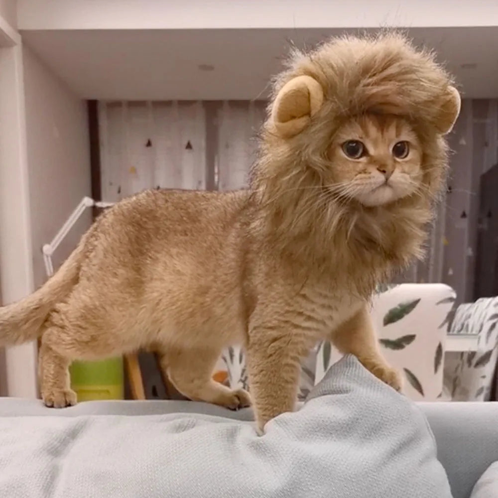 Lion Mane Wig for Cats & Small Dogs – Fancy Dress Costume