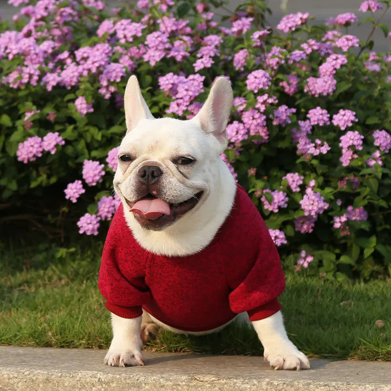 Winter Pet Jacket - Warm Coat for Dogs and Cats