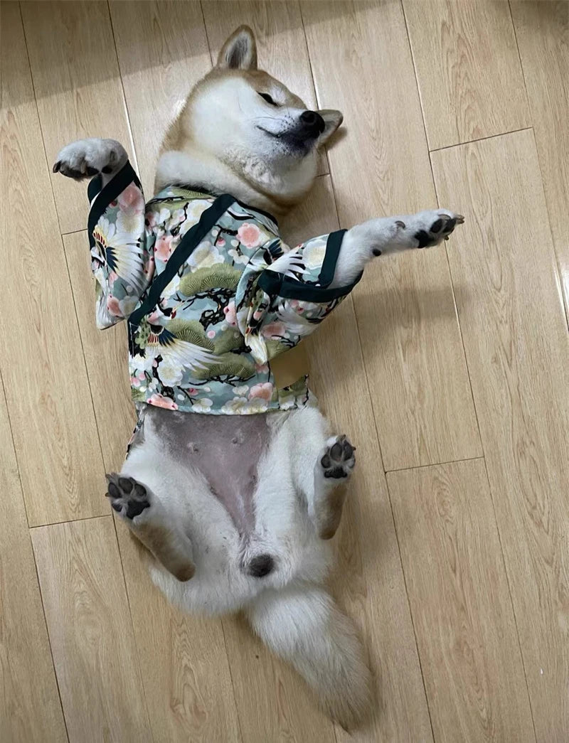 Japanese Kimono Costume for Cats & Dogs