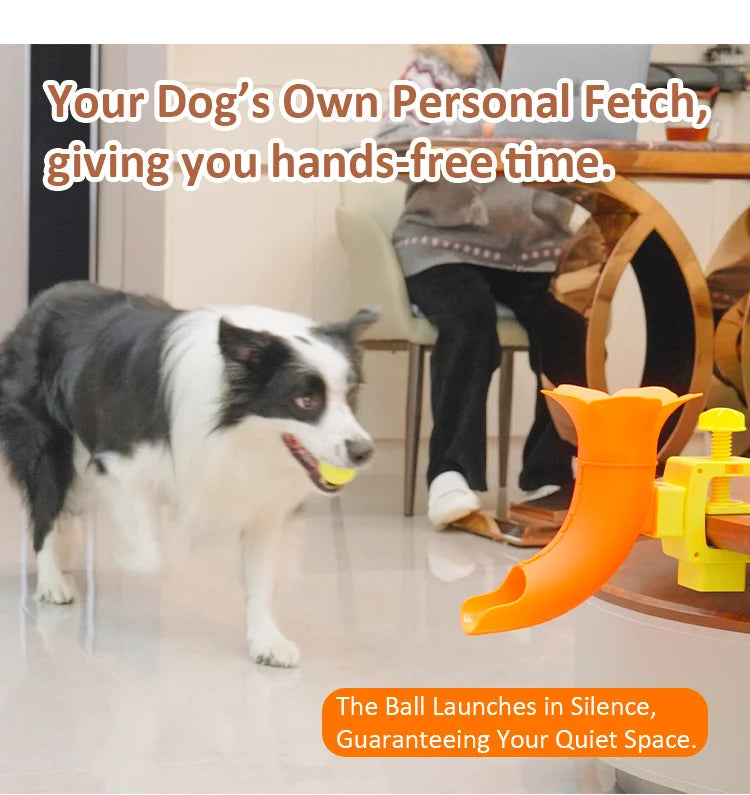Table-Clip Dog Ball Return Toy
