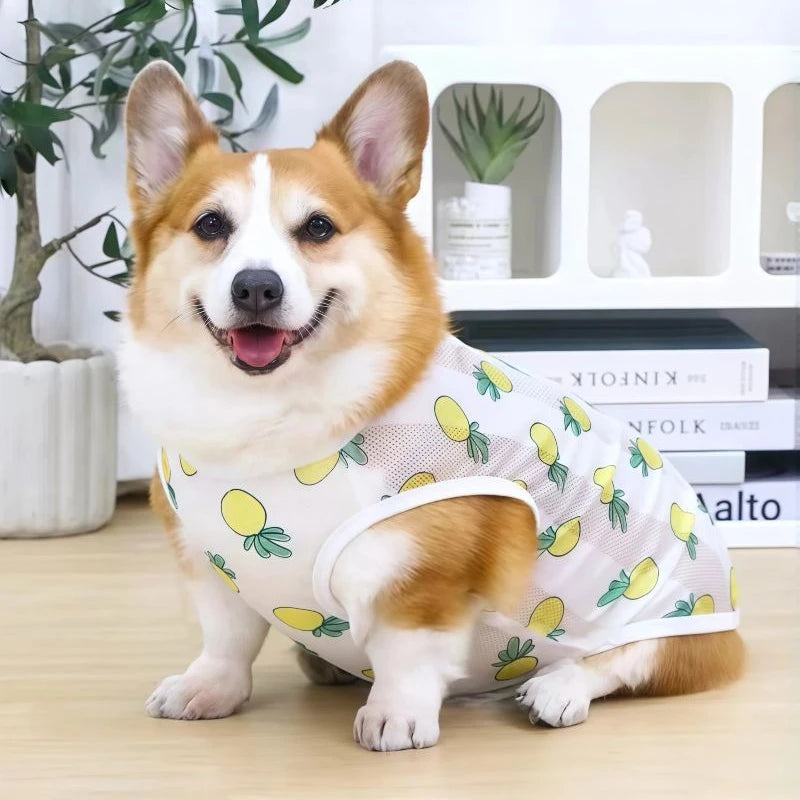 Breathable Mesh Cooling Vest for Dogs