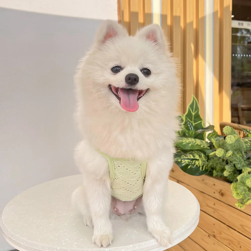 Breathable Dog Vest for Spring and Summer