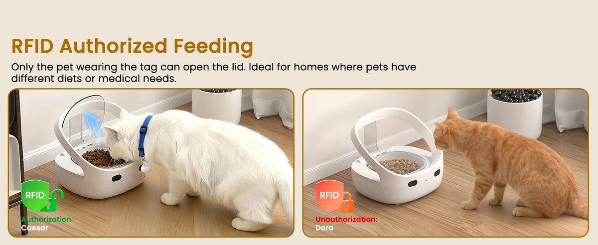 RFID Selective Cat Feeder with Ice Pack Cooling
