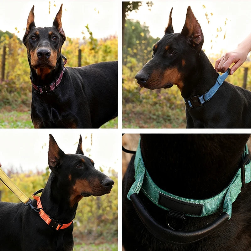 Tactical Dog Collar with Leather-Wrapped Leash Handle