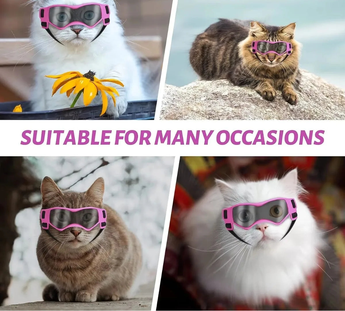 Cat Sunglasses - UV Protection Goggles for Small Pets