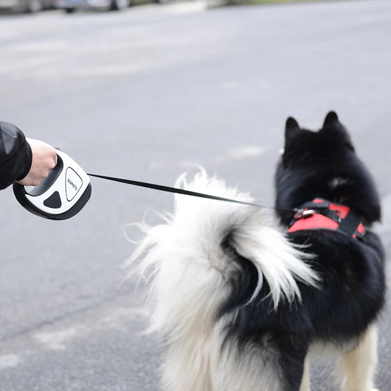 LED Retractable Dog Leash with Light