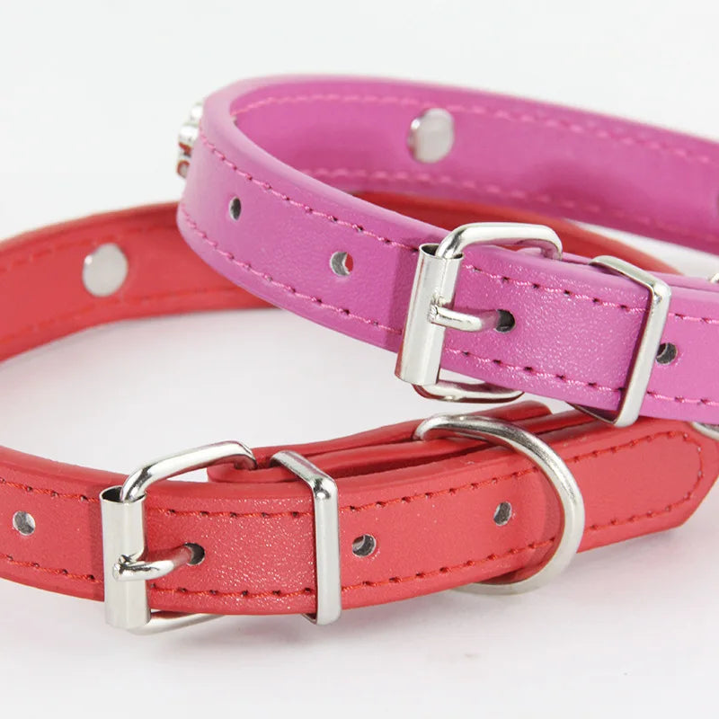 Leather Dog Collar with Footprint Design