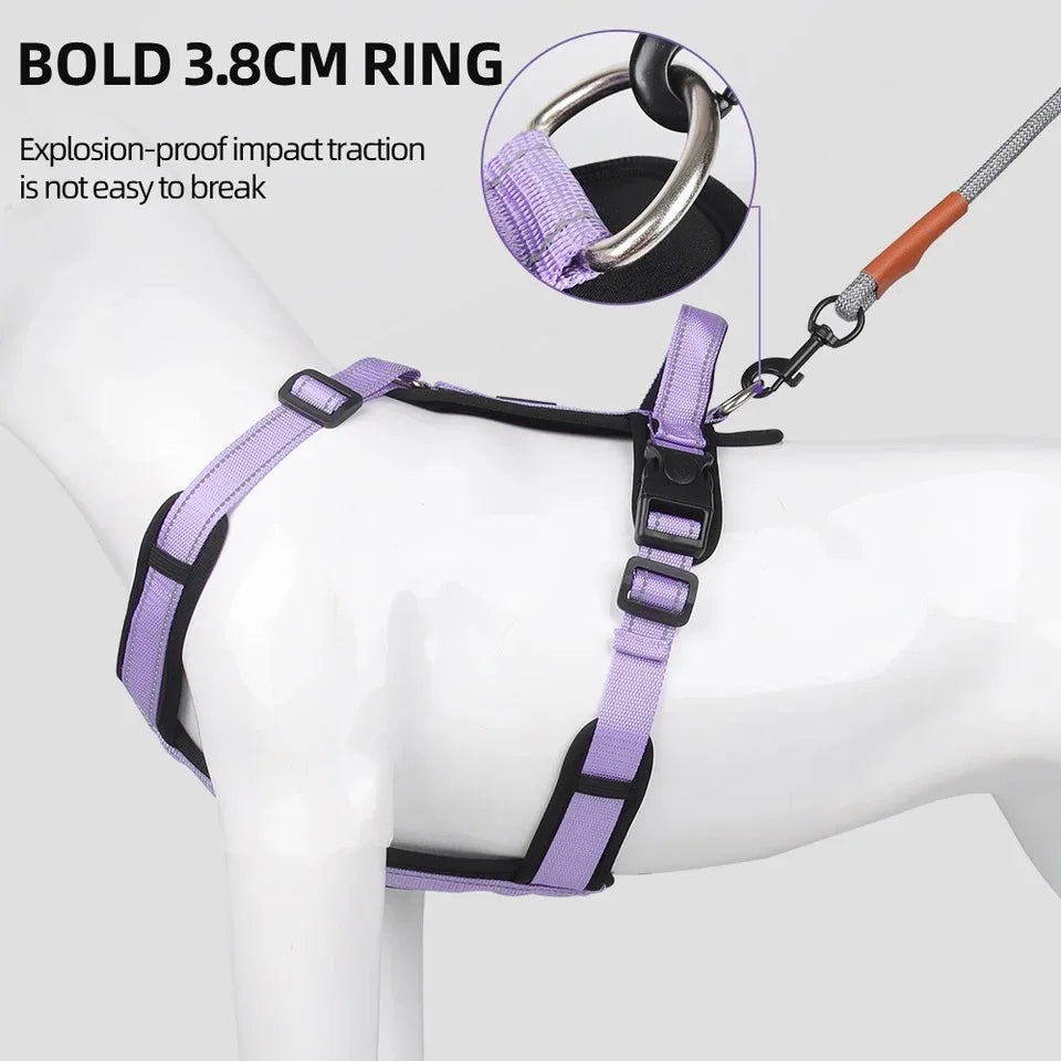 No-Pull Padded Vest Harness with Reflective Straps for Small & Medium Dogs