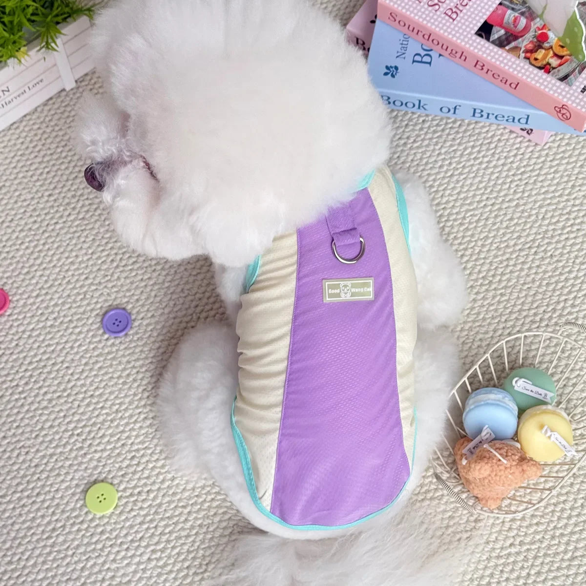 Gilet rafraîchissant réfléchissant et t-shirt d'été pour chiens et chats de petite, moyenne et grande taille