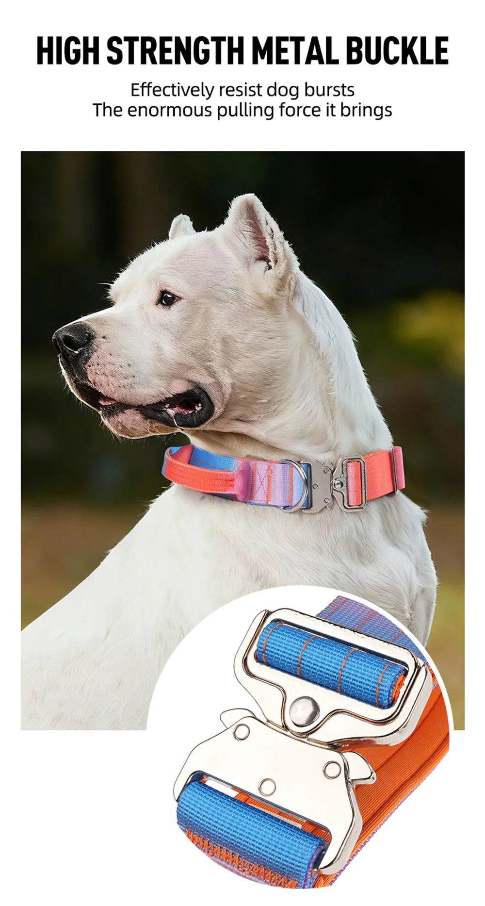 Wide Padded Dog Collar with Handle | Gradient Design for Large Dogs
