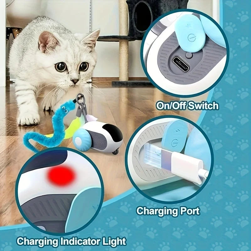 Voiture intelligente pour chat avec évitement d'obstacles - Jeu interactif autonome