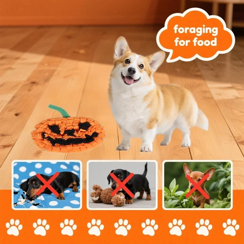 Halloween Pumpkin Dog Snuffle Mat