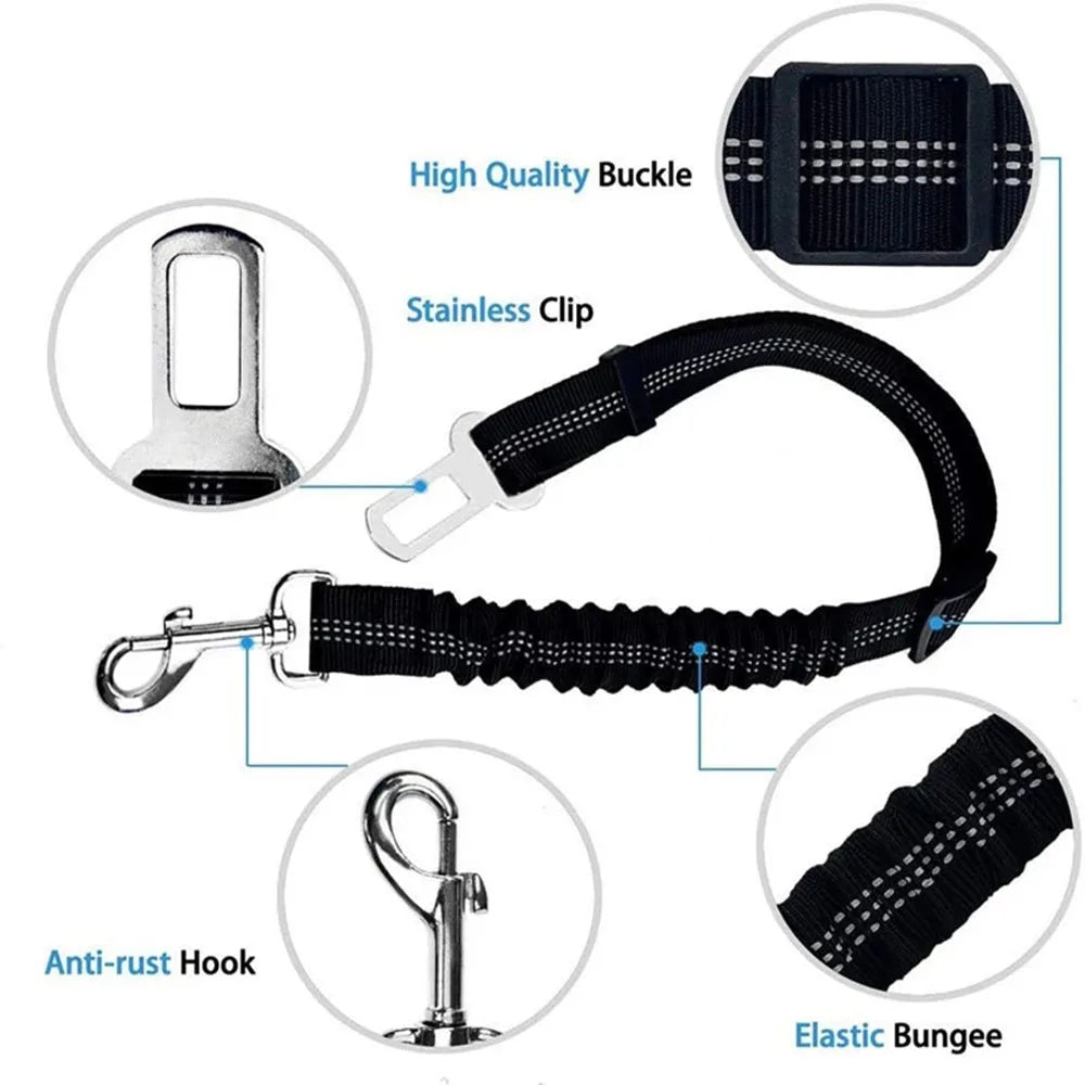 Ceinture de sécurité rétractable pour chien avec bande réfléchissante