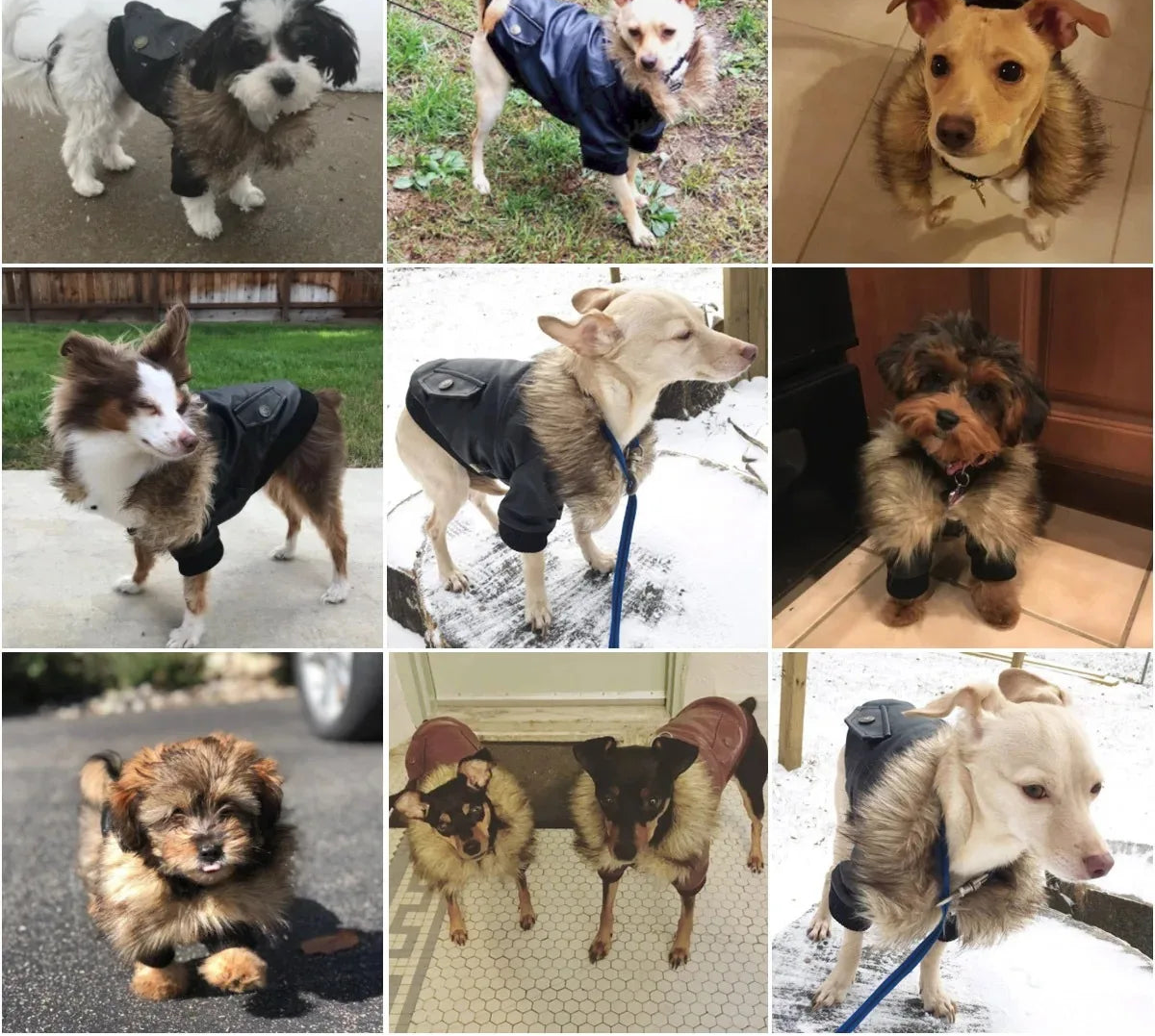 Waterproof Dog Winter Coat - Warm Jacket for Small to Medium Dogs