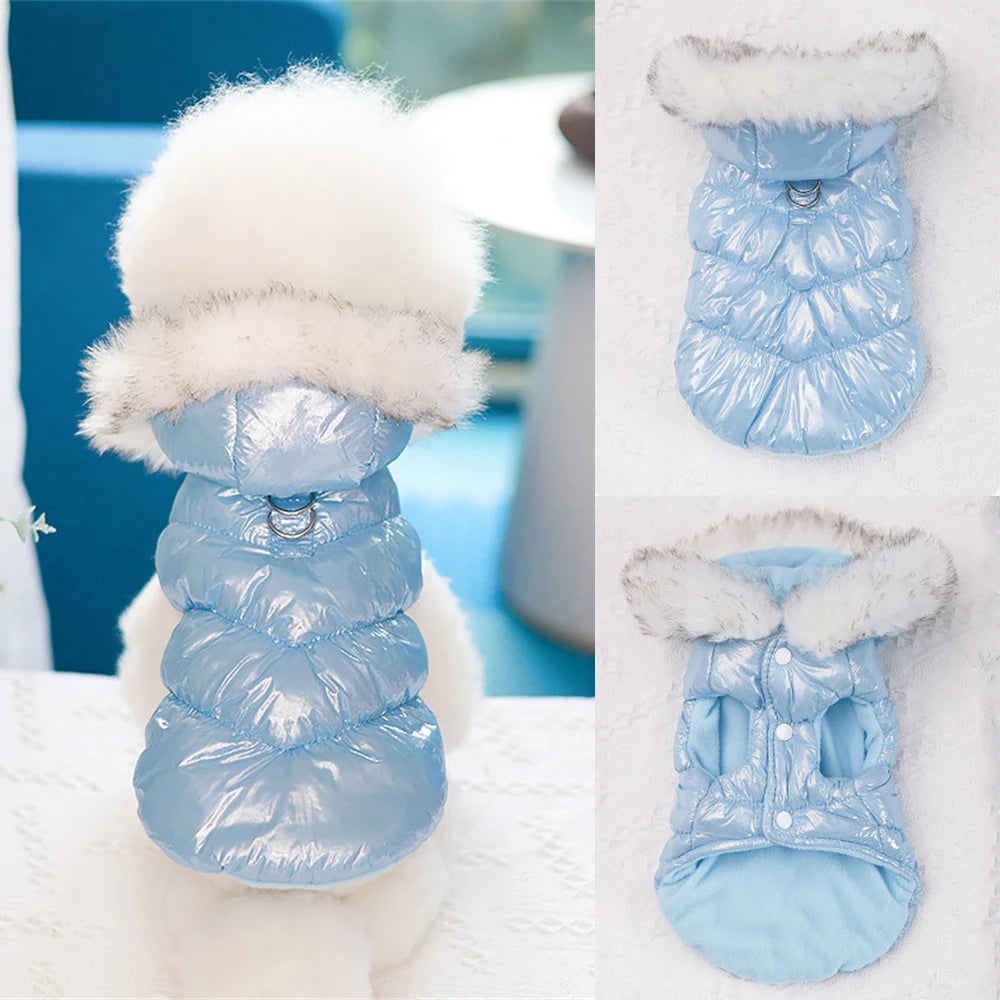 Winter Down & Fleece Dog Coat with Fur Collar for Small Dogs