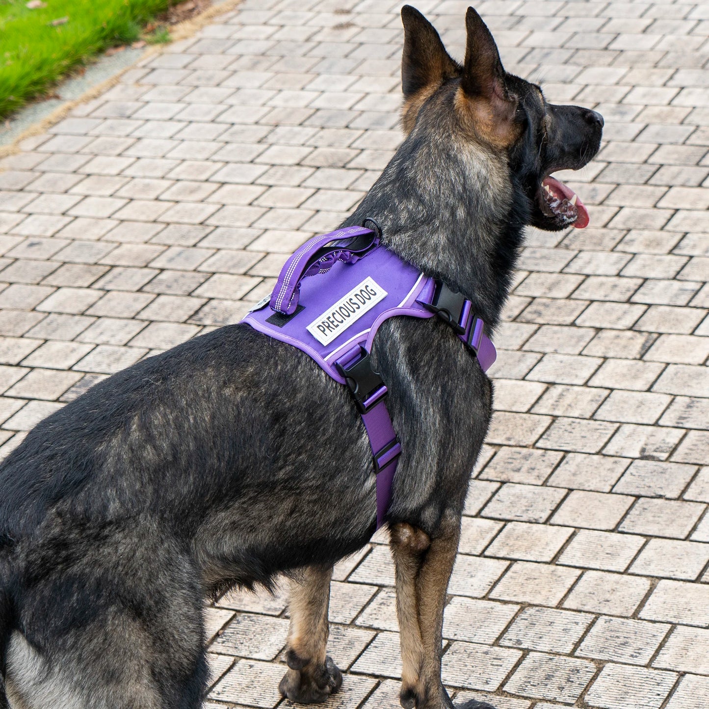 Reflective Emotional Support Dog Vest Harness with Handle & Lead — Easy On/Off for Large Dogs