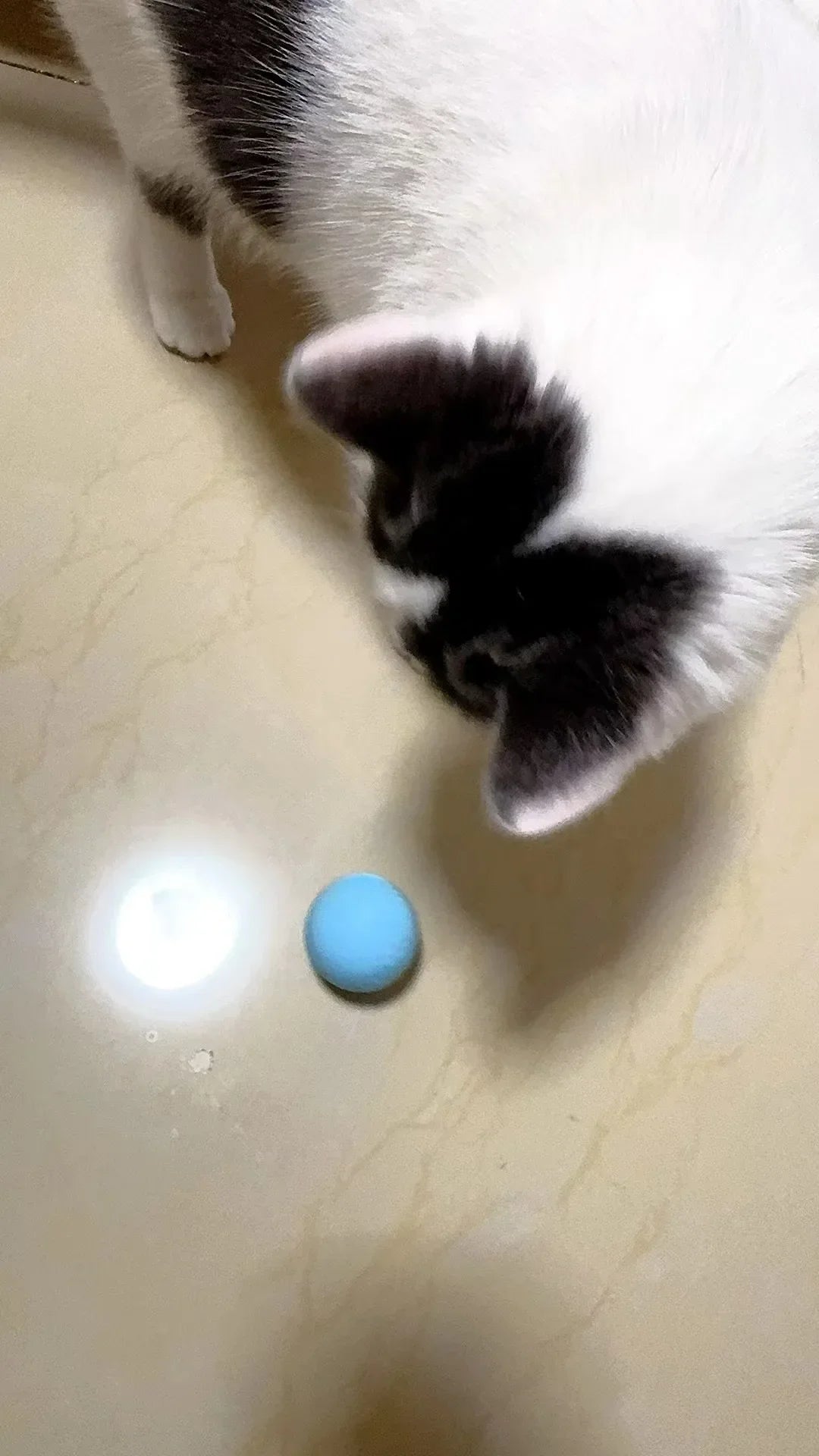 Automatic Rolling Cat Ball with Touch-Activated Play