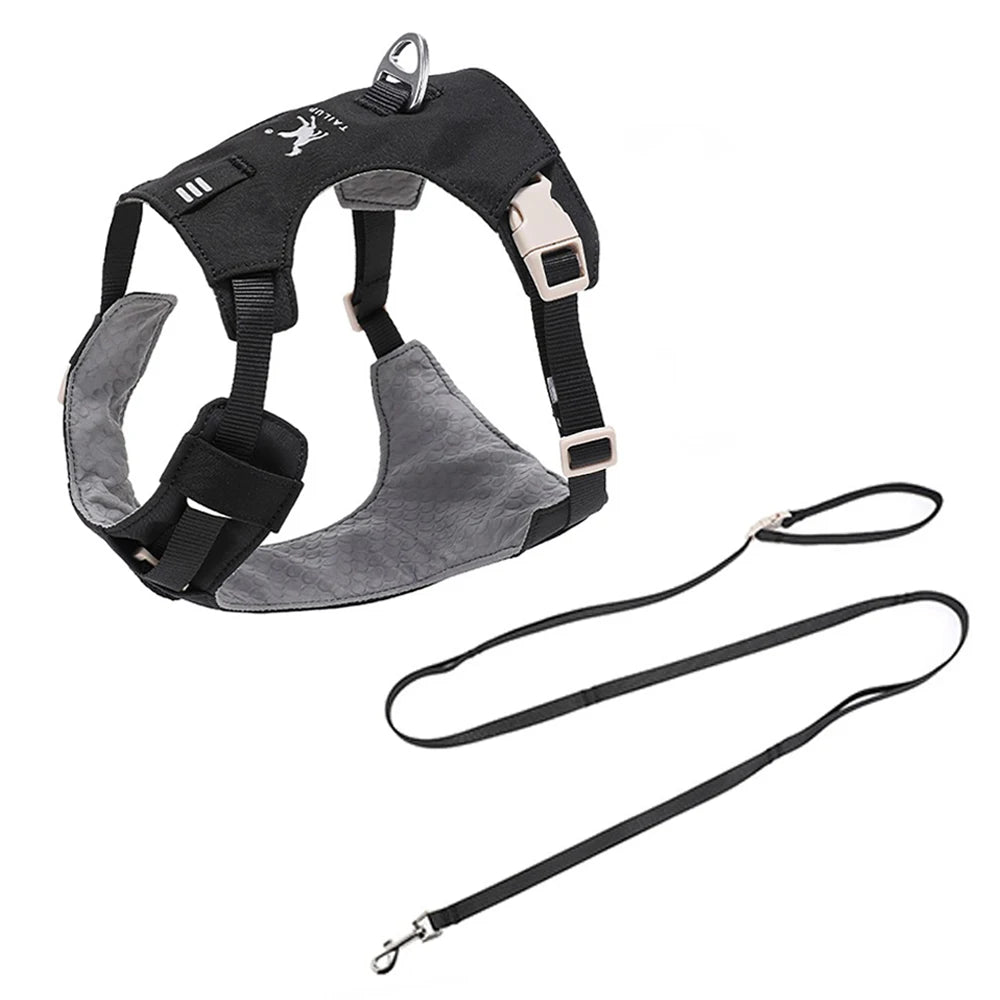 Lightweight Dog Harness & Leash Set Anti-Pull Escape-Proof Pet Walking Lead for Small Medium Large Dogs