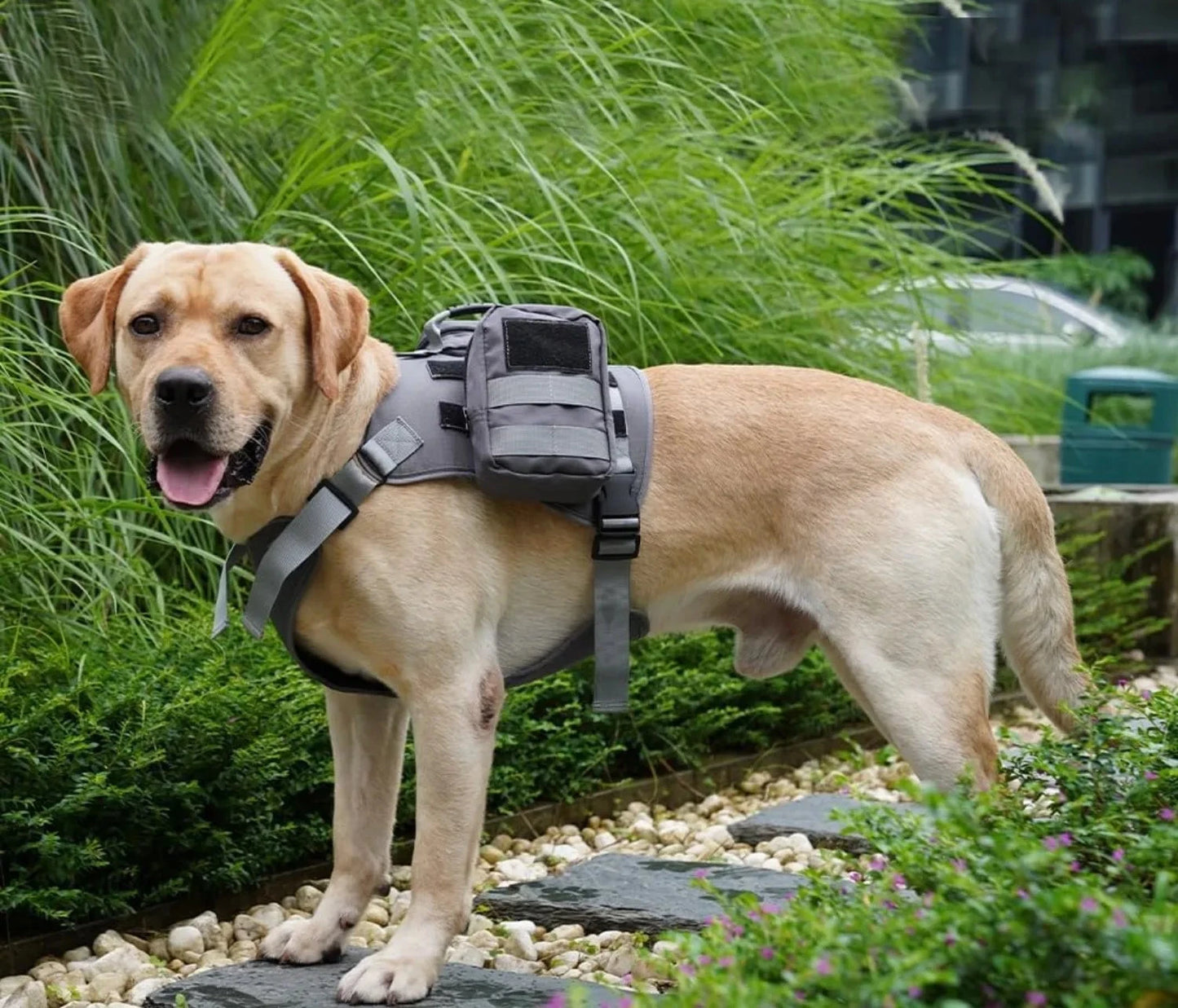 Harnais sac à dos pour chien avec sangles réglables et poches latérales