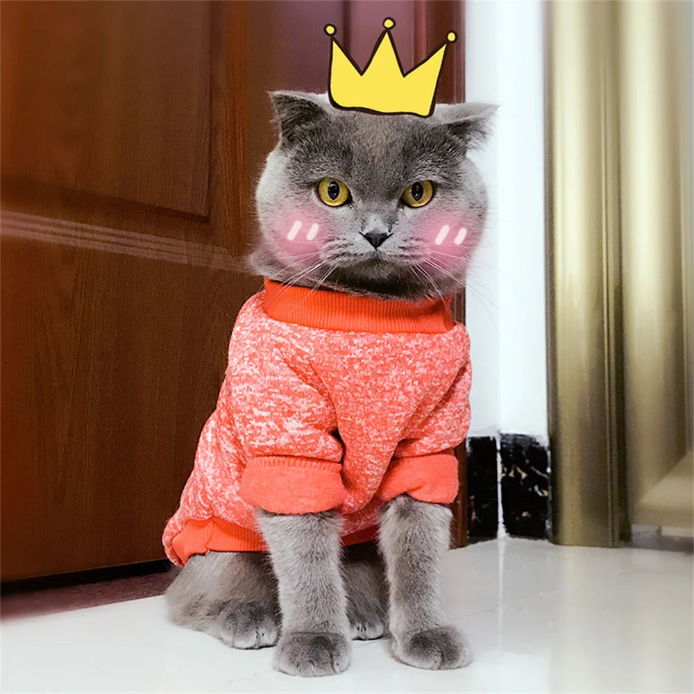 Non-Hair-Sticking Pet Hoodie for Cats & Small Dogs