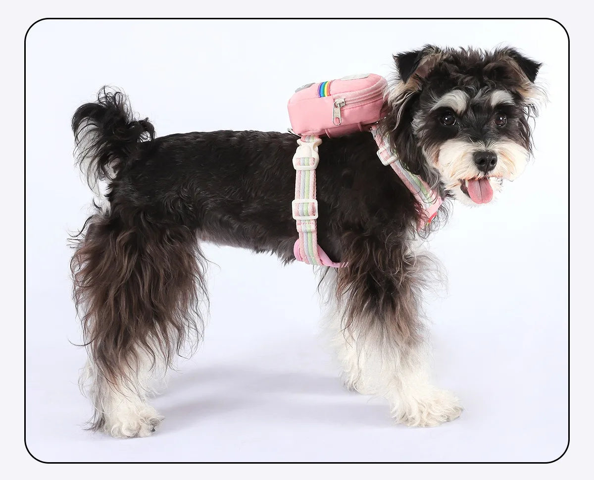 Dog Harness & Lead Set – Padded Vest Harness with Reflective Strips for Small & Medium Dogs