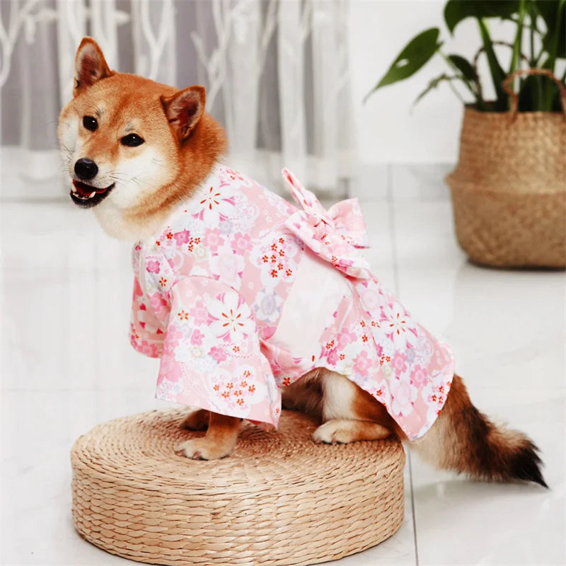 Japanese Kimono Costume for Cats & Dogs