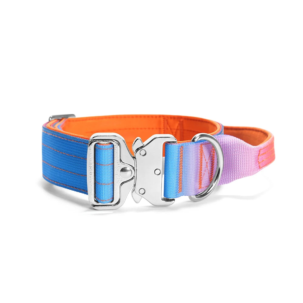 Wide Padded Dog Collar with Handle | Gradient Design for Large Dogs