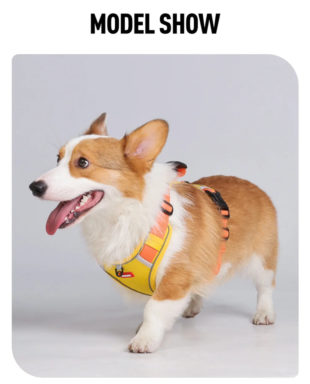 Reflective No-Pull Dog Harness Vest with AirTag Holder